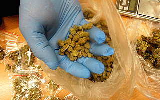 Policjanci zatrzymali w Olsztynie dilera narkotyków. W jego mieszkaniu znaleźli kilogram marihuany i 10 tys. złotych